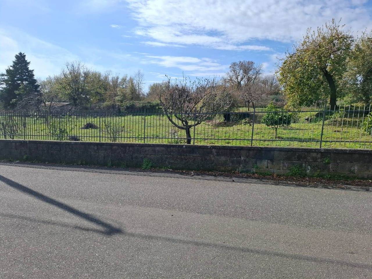 immagine annuncio 7 di 9