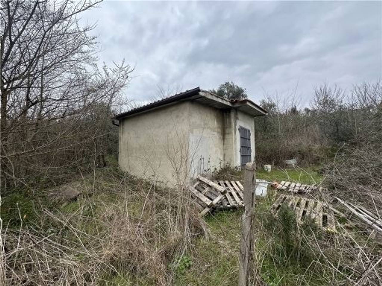 immagine annuncio 10 di 15