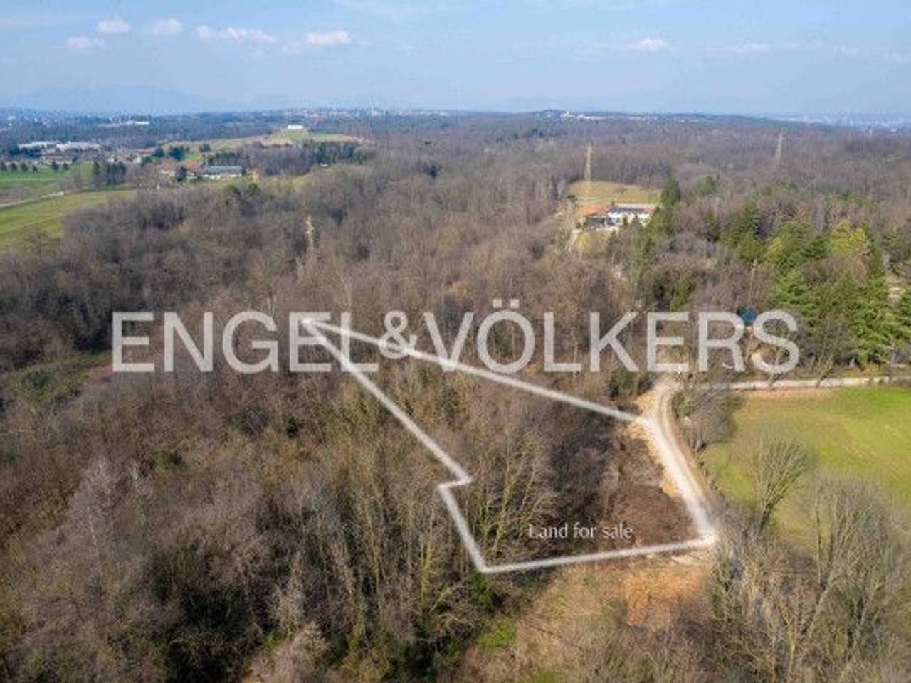 immagine annuncio 2 di 8