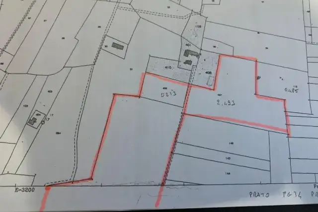 insertion image