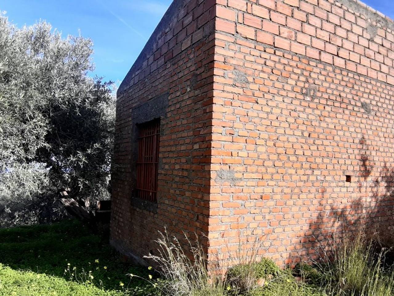 immagine annuncio 5 di 8