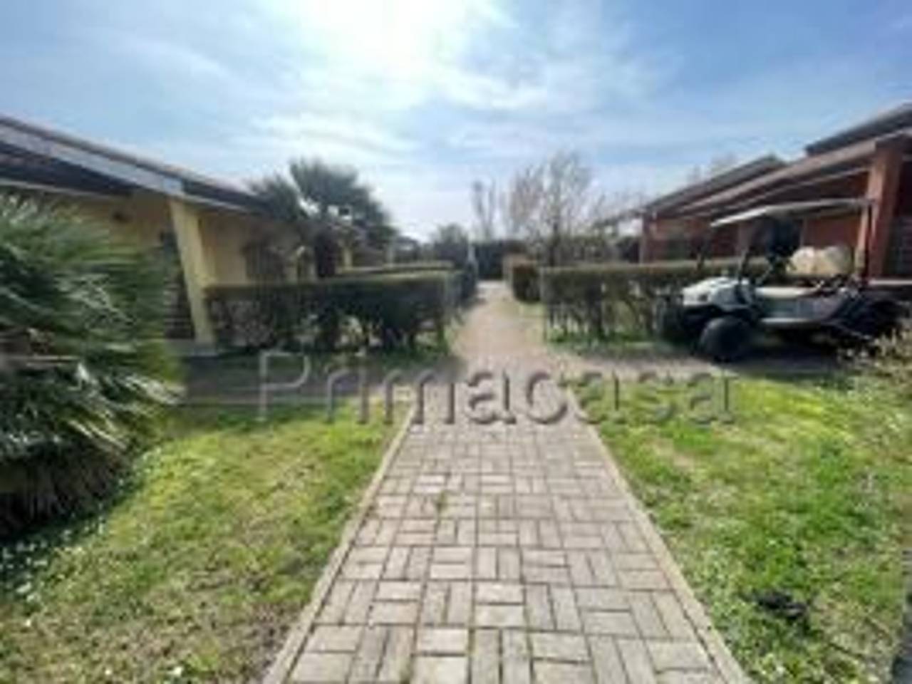 immagine annuncio 2 di 12