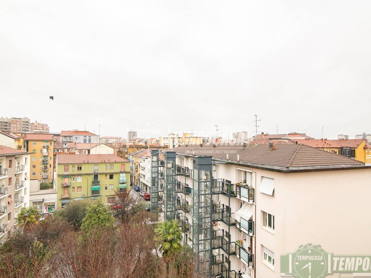 immagine annuncio 11 di 15