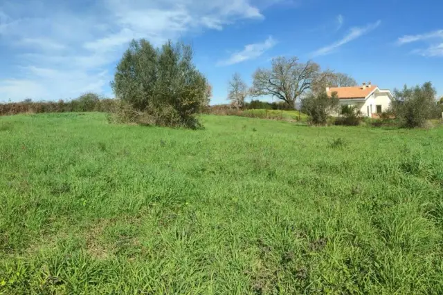 Terreno edificabile in Traversa della Selciatella, Bracciano - Foto 1