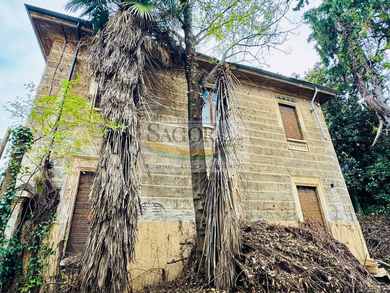 immagine annuncio 5 di 6