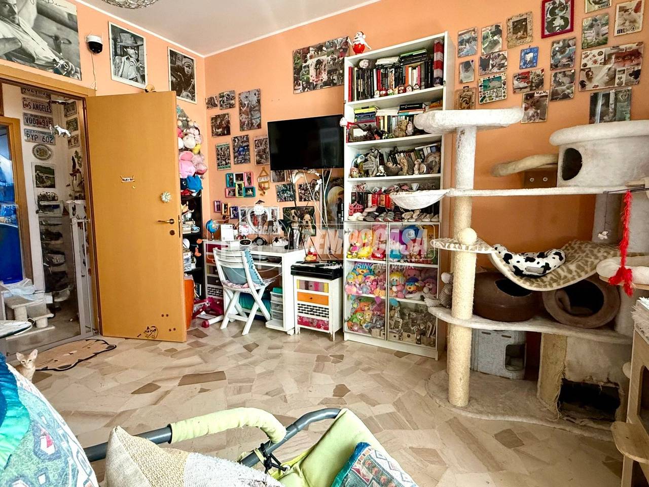 immagine annuncio 6 di 15