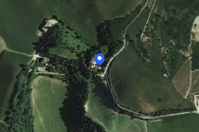 insertion image