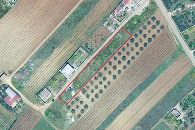 insertion image