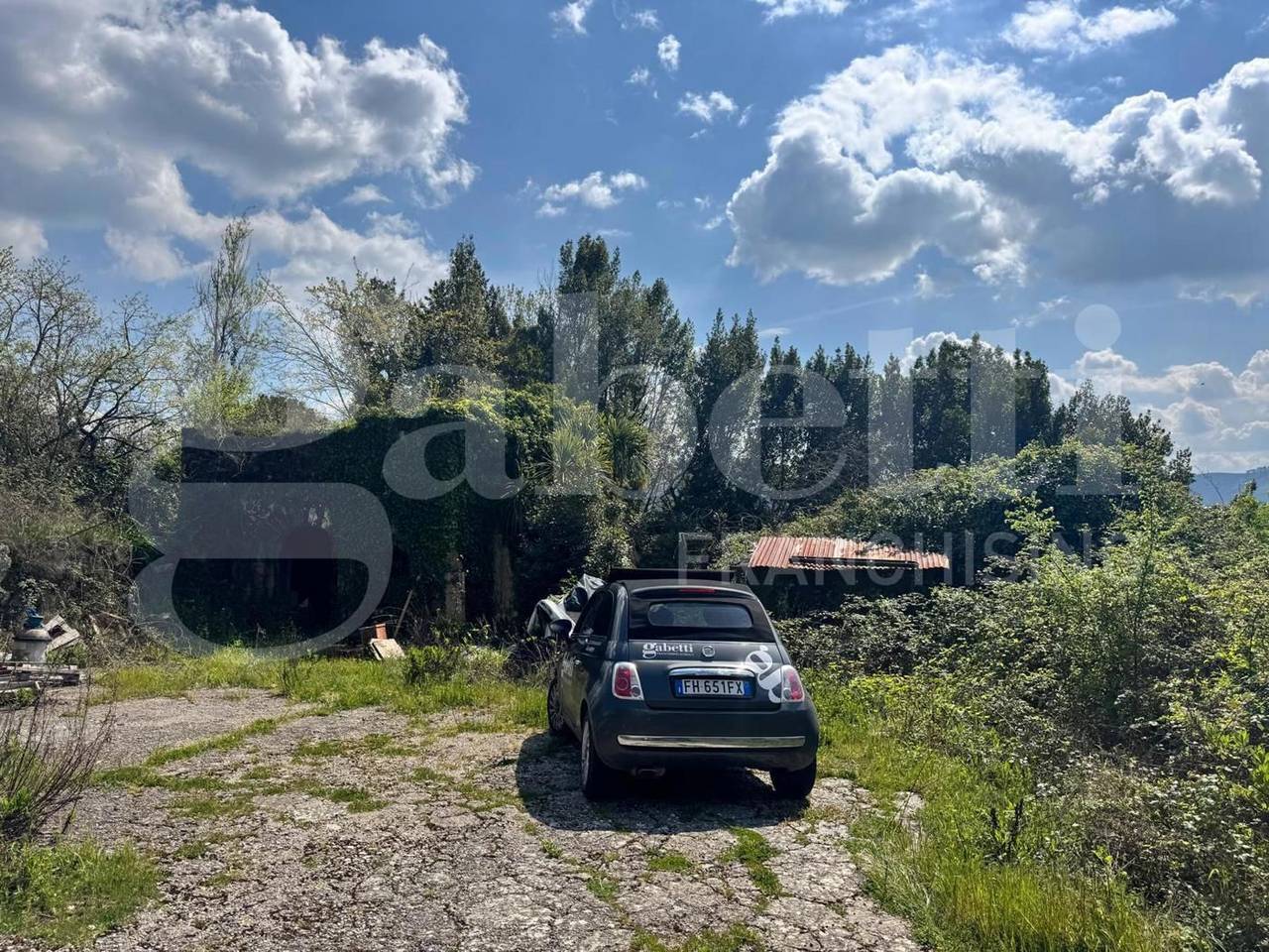 immagine annuncio 7 di 9