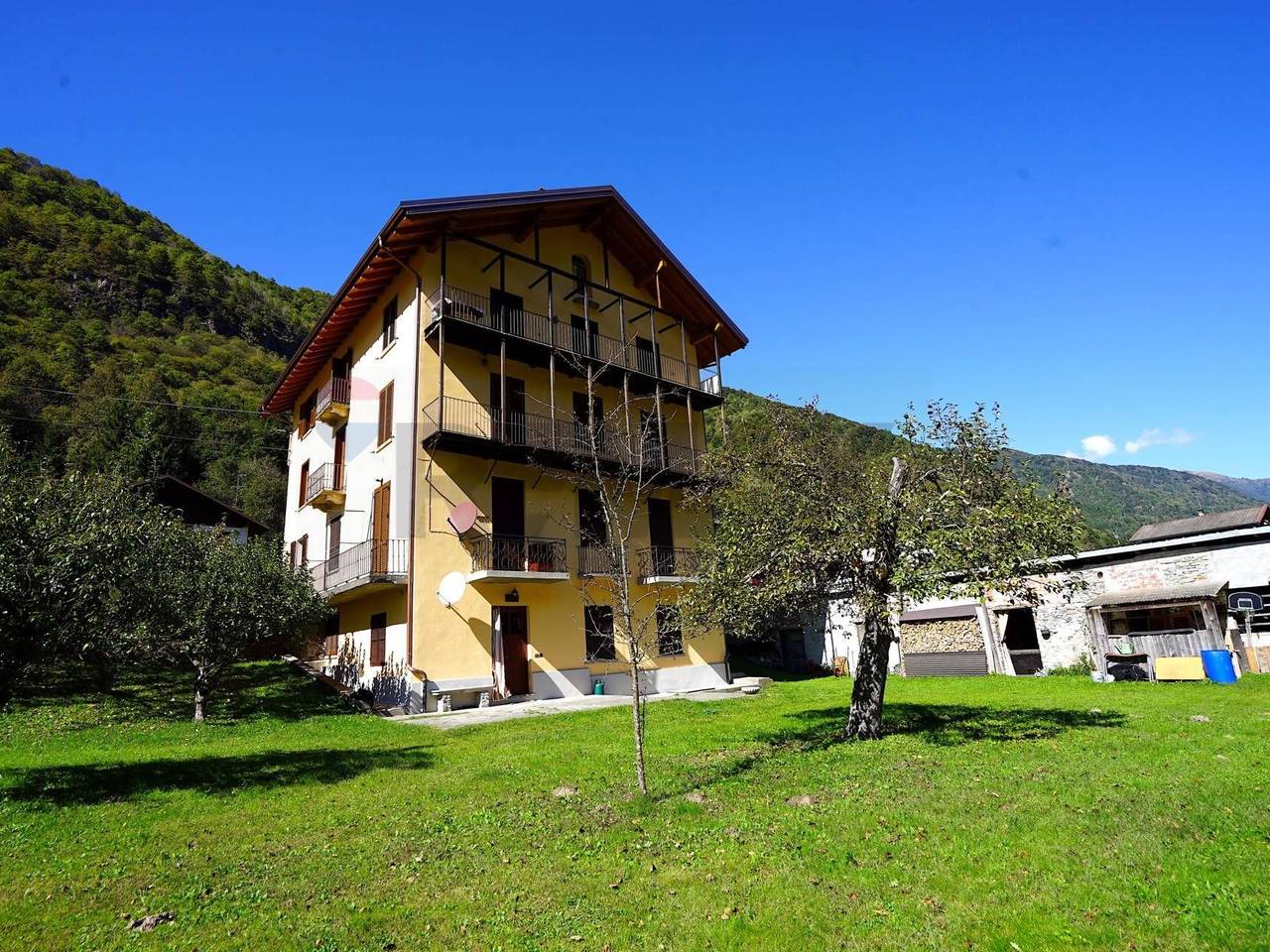 immagine annuncio 1 di 15