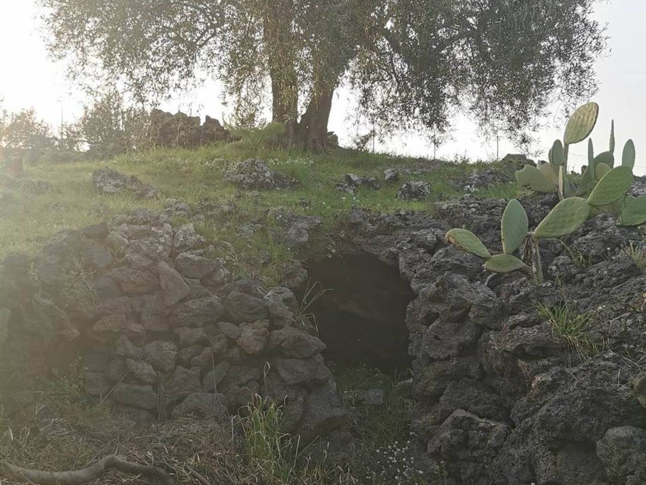 immagine annuncio 12 di 14