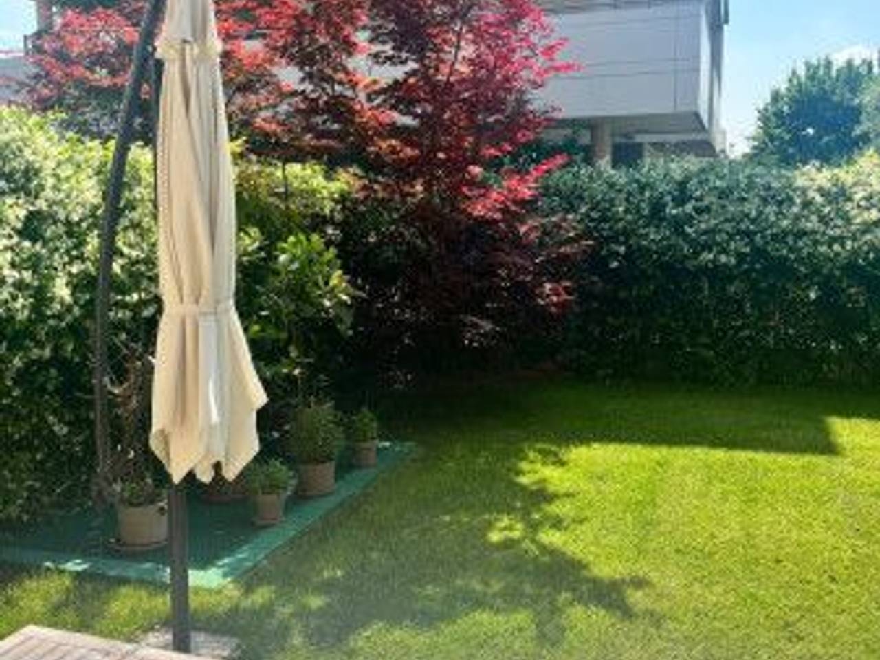 immagine annuncio 2 di 14