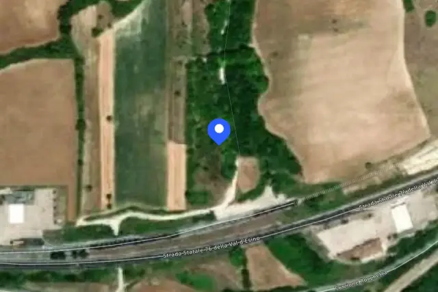 insertion image