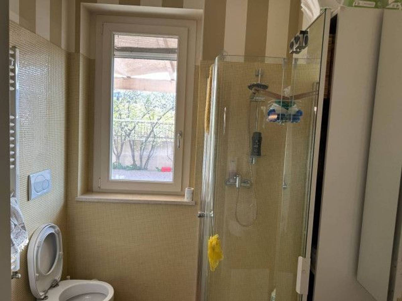 immagine annuncio 6 di 7