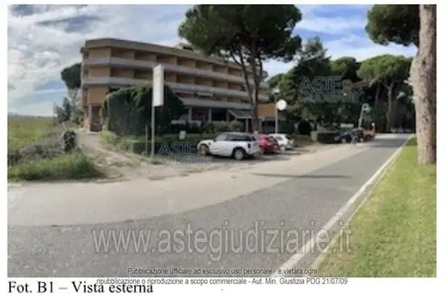 insertion image
