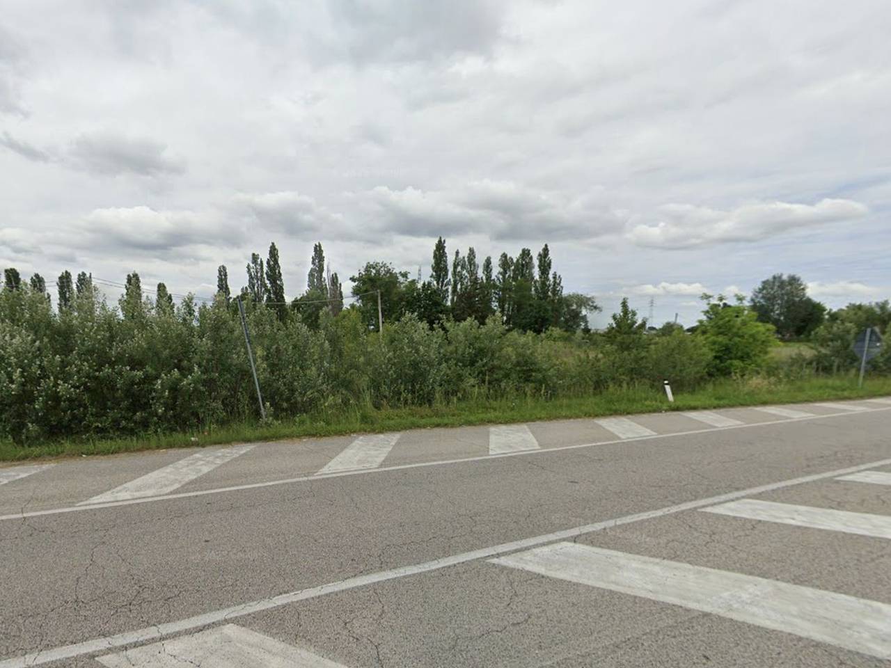 immagine annuncio 5 di 6