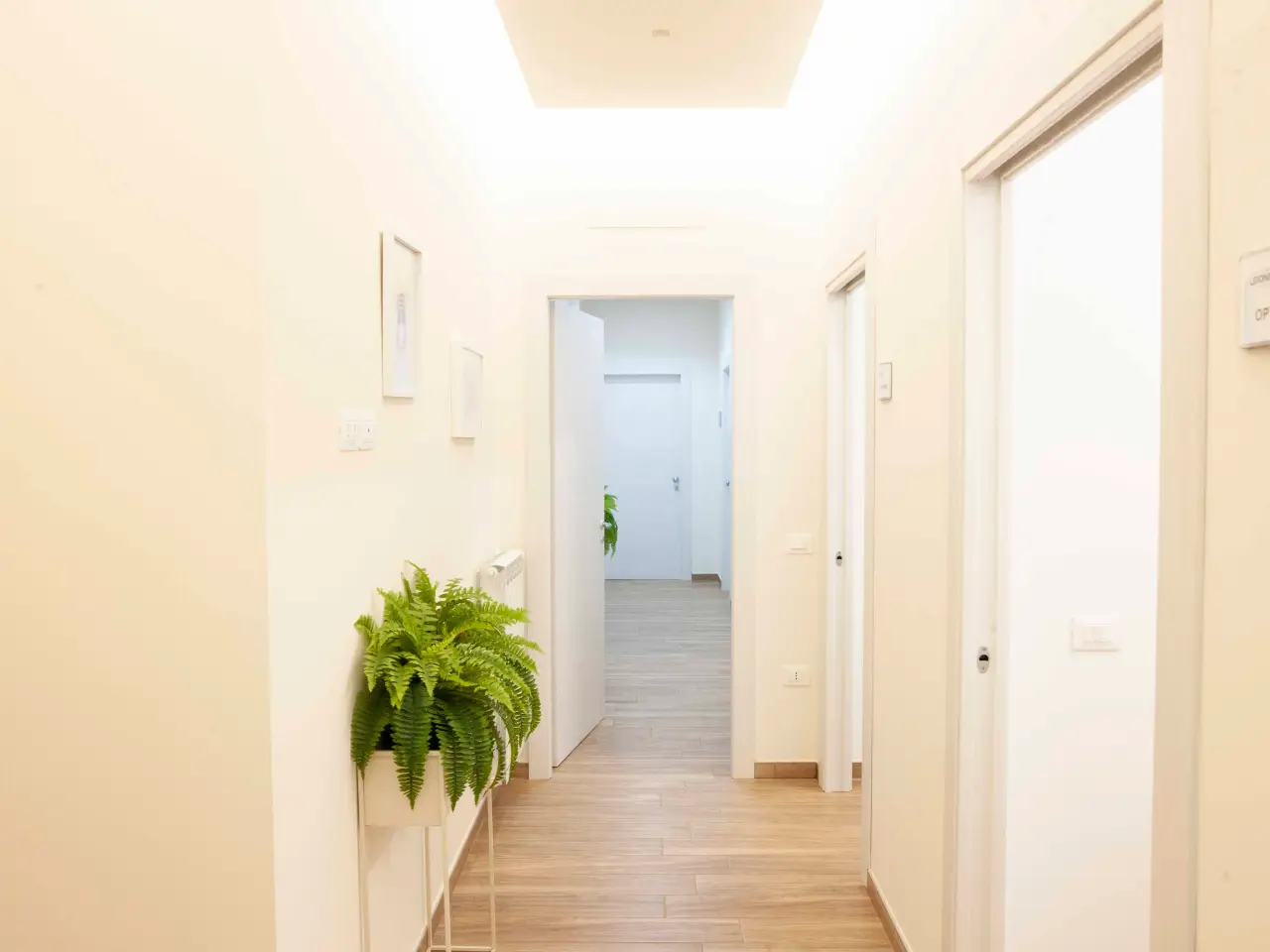 Azienda in Via Antonio Izzi De Falenta 7c, Catanzaro, {3} - Foto 1