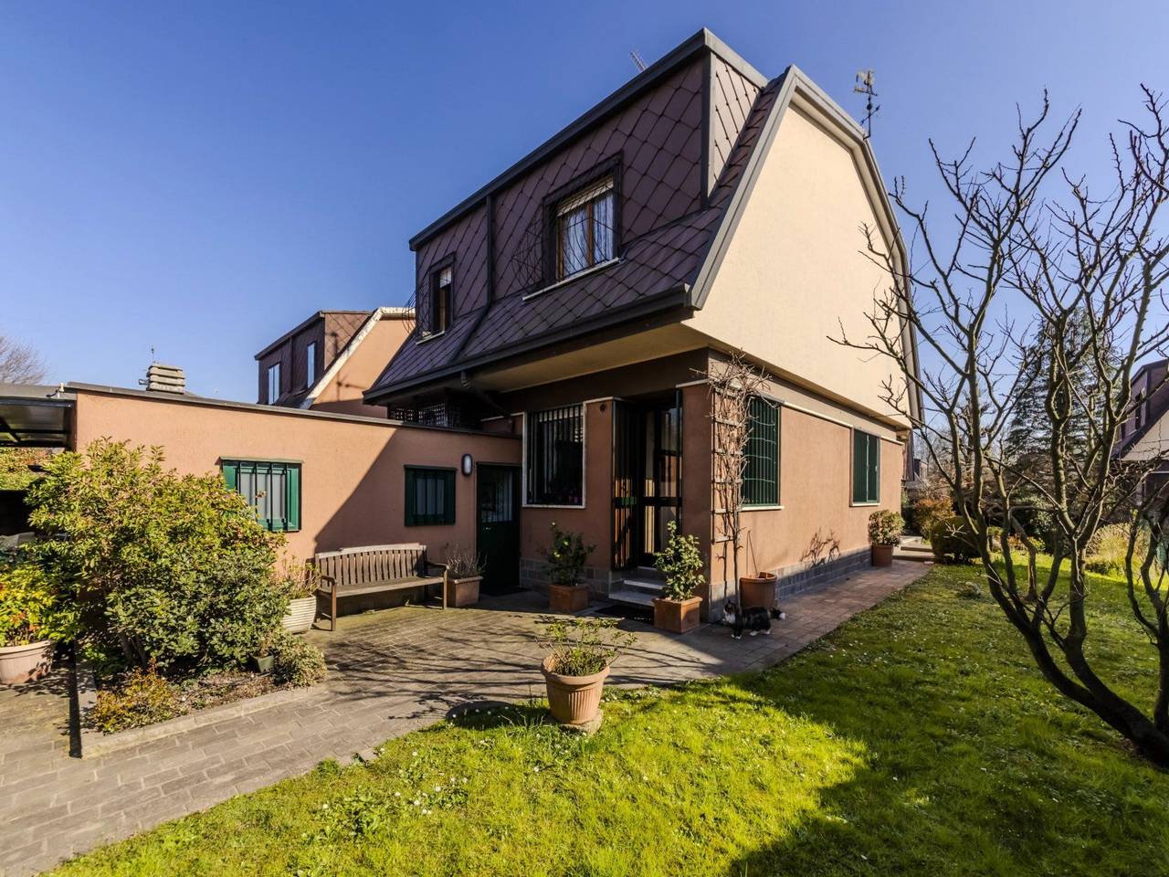 immagine annuncio 1 di 15