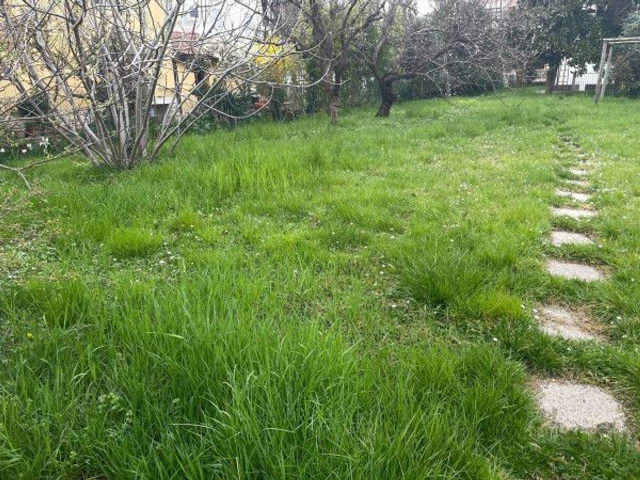 immagine annuncio 8 di 12