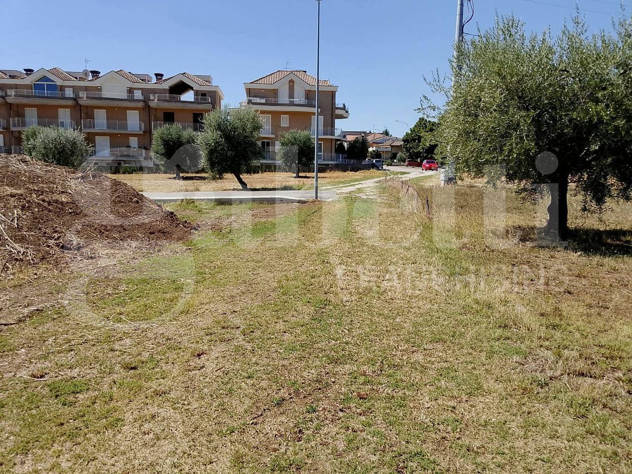immagine annuncio 3 di 8