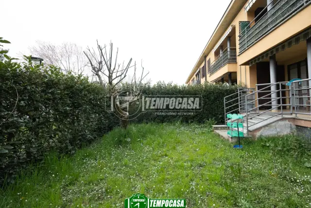 insertion image