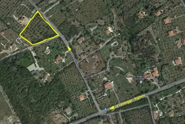 insertion image
