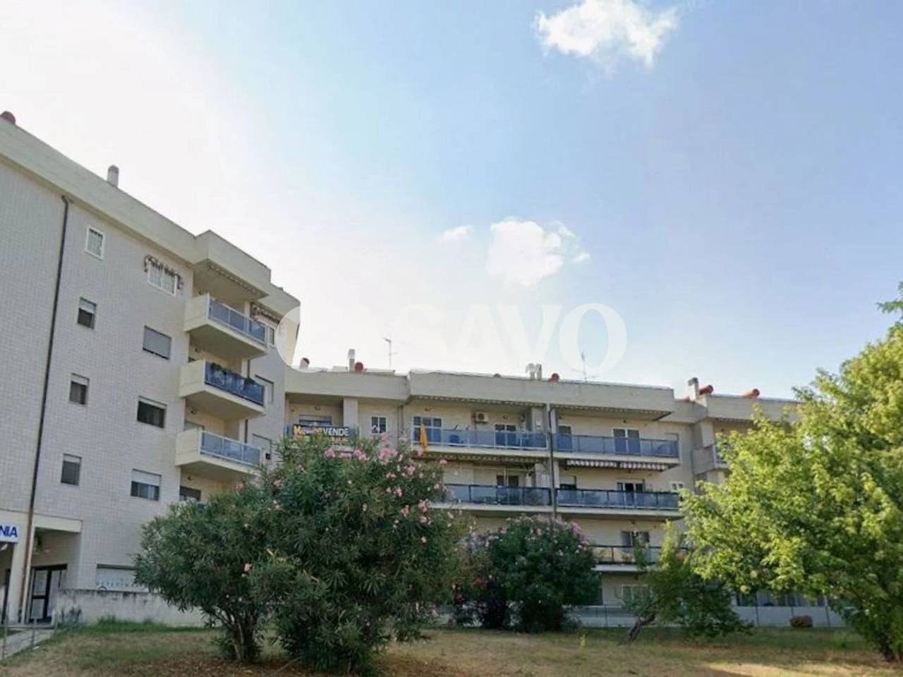 immagine annuncio 3 di 6