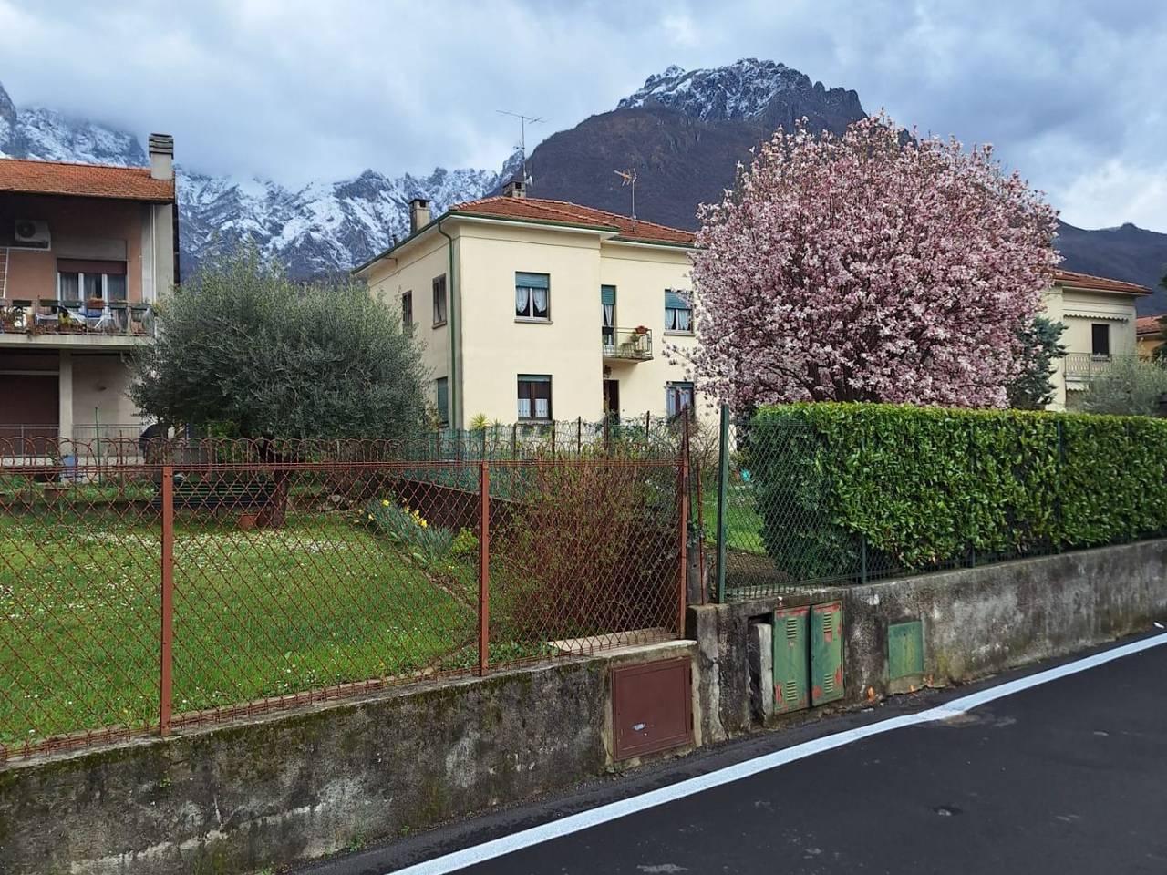 immagine annuncio 3 di 15