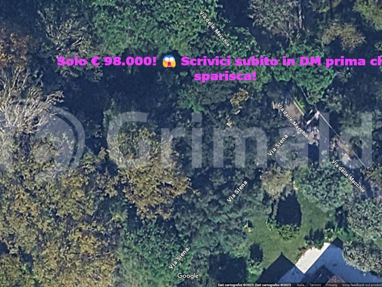 immagine annuncio 2 di 6