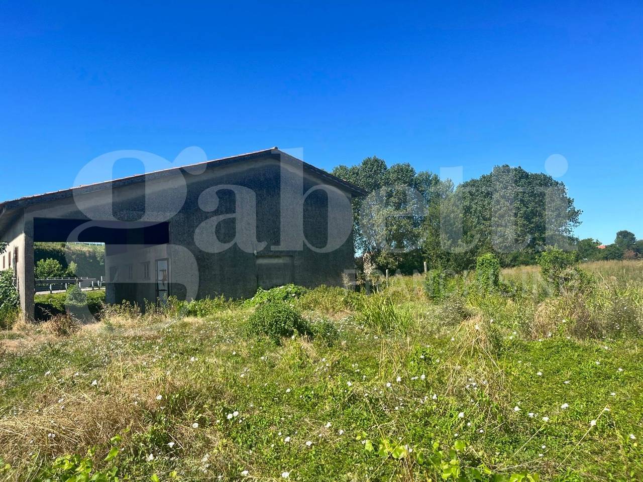 immagine annuncio 5 di 11