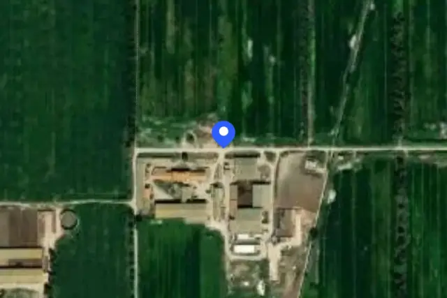 insertion image