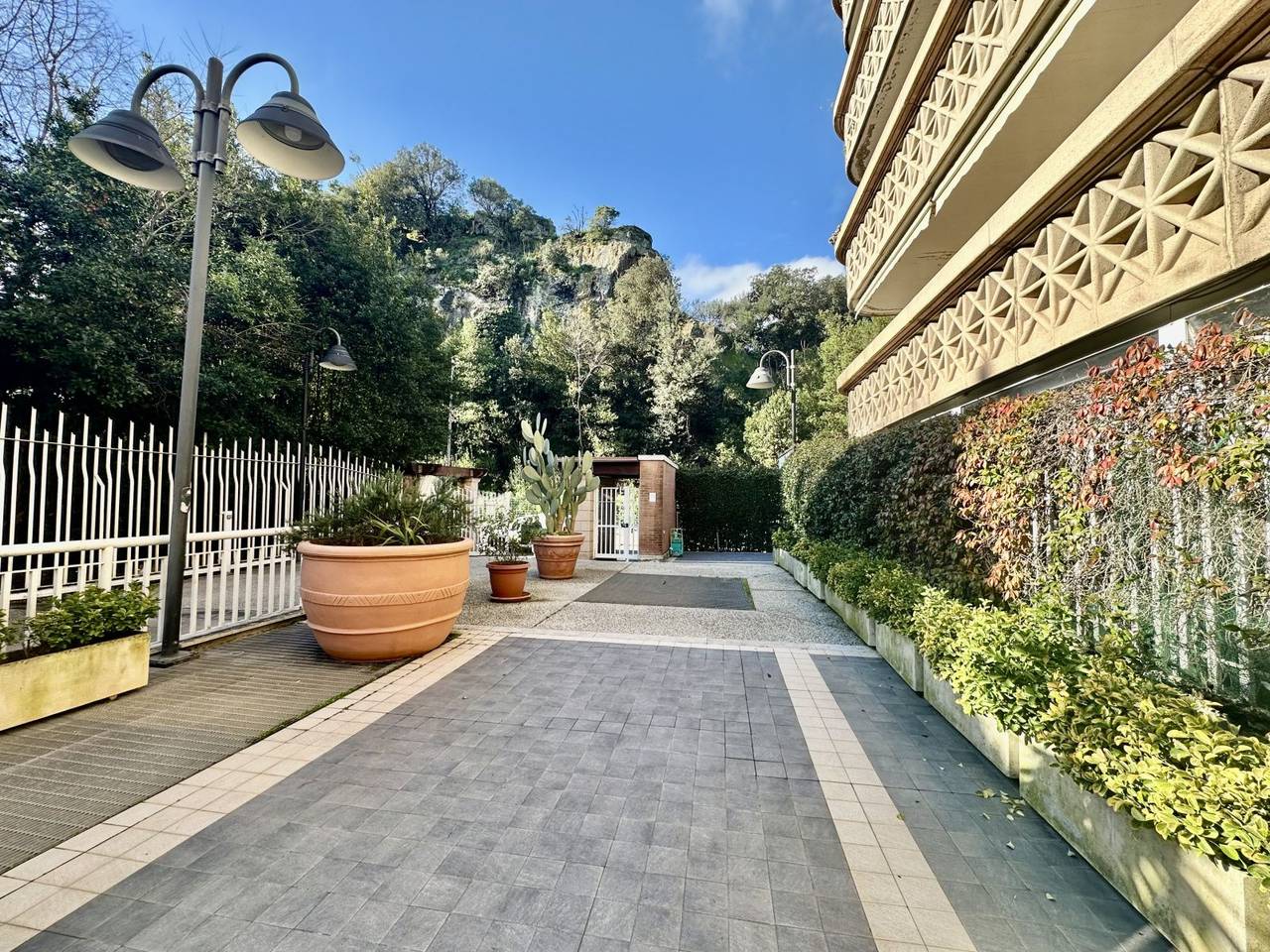 immagine annuncio 2 di 14