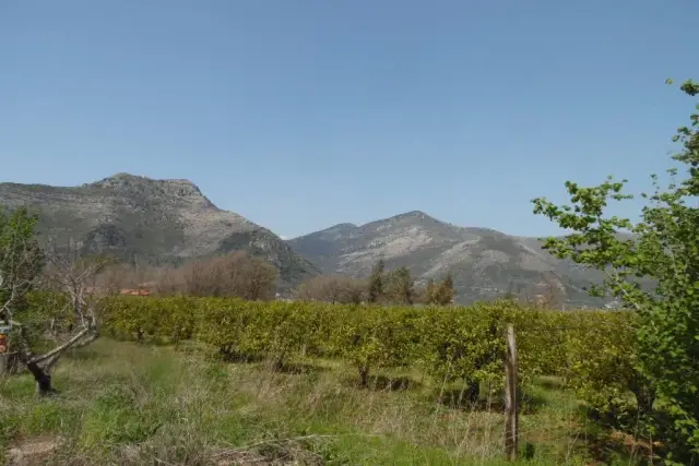 Terreno agricolo, Fondi - Foto 1