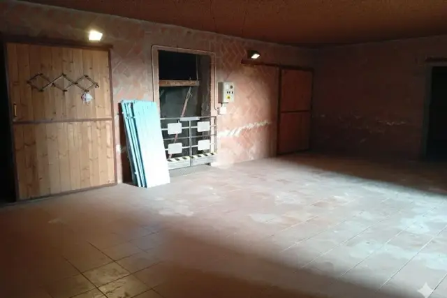 insertion image