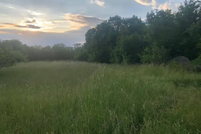 Terreno agricolo in vendita, Trieste - Foto 1
