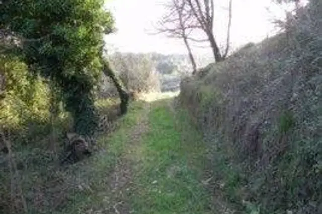 Agricultural land, Camaiore - Photo 1