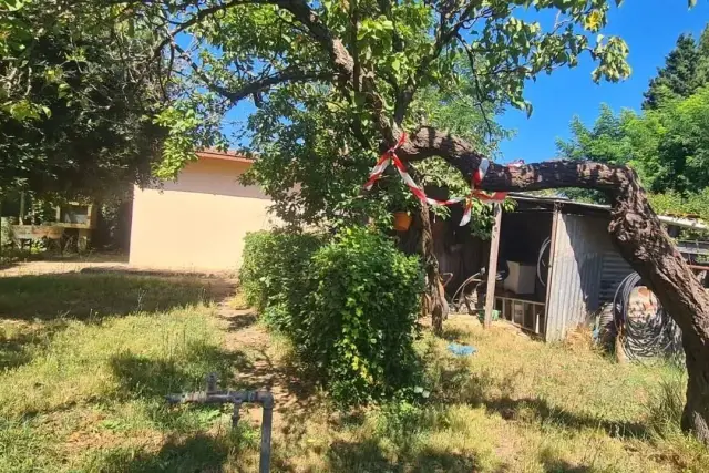 Terreno agricolo, Piombino - Foto 1