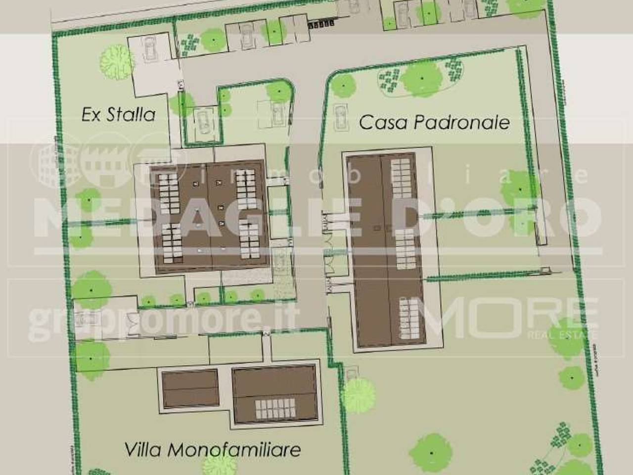 immagine annuncio 3 di 10