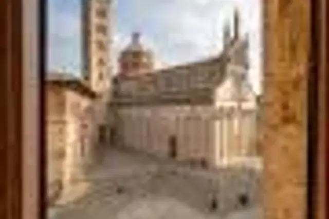 insertion image