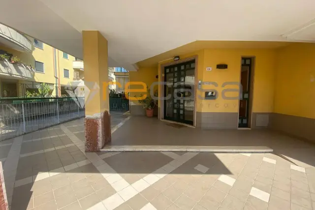 insertion image