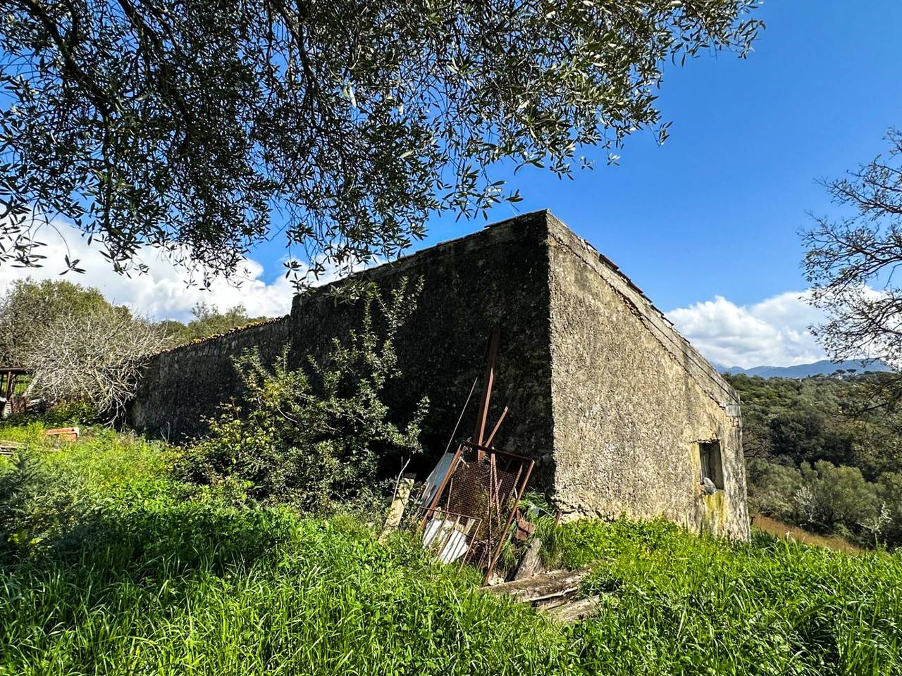 immagine annuncio 13 di 15