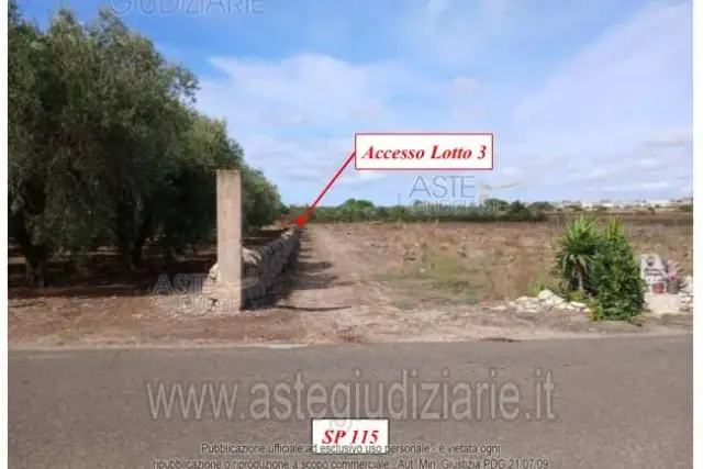 insertion image