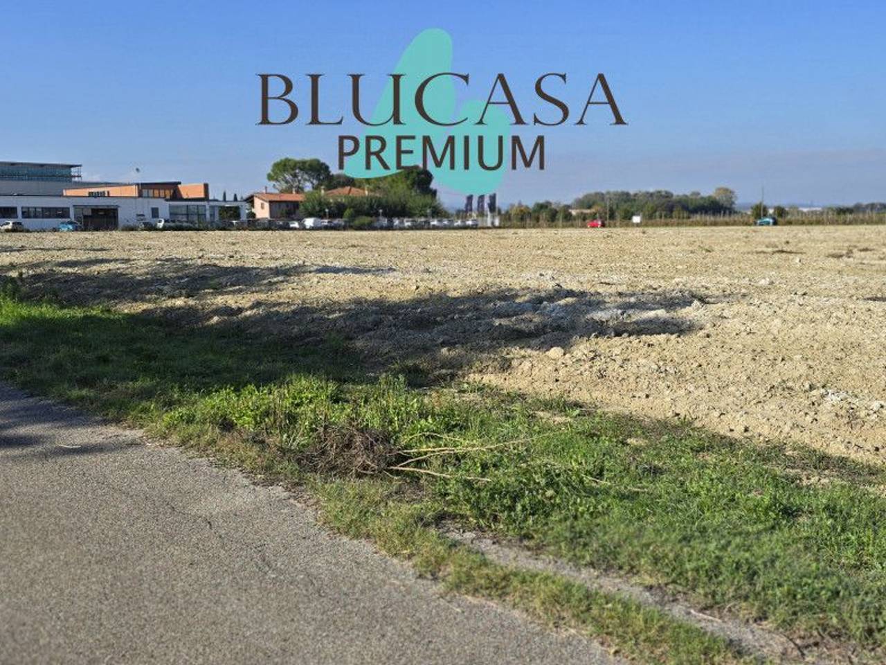 immagine annuncio 4 di 8