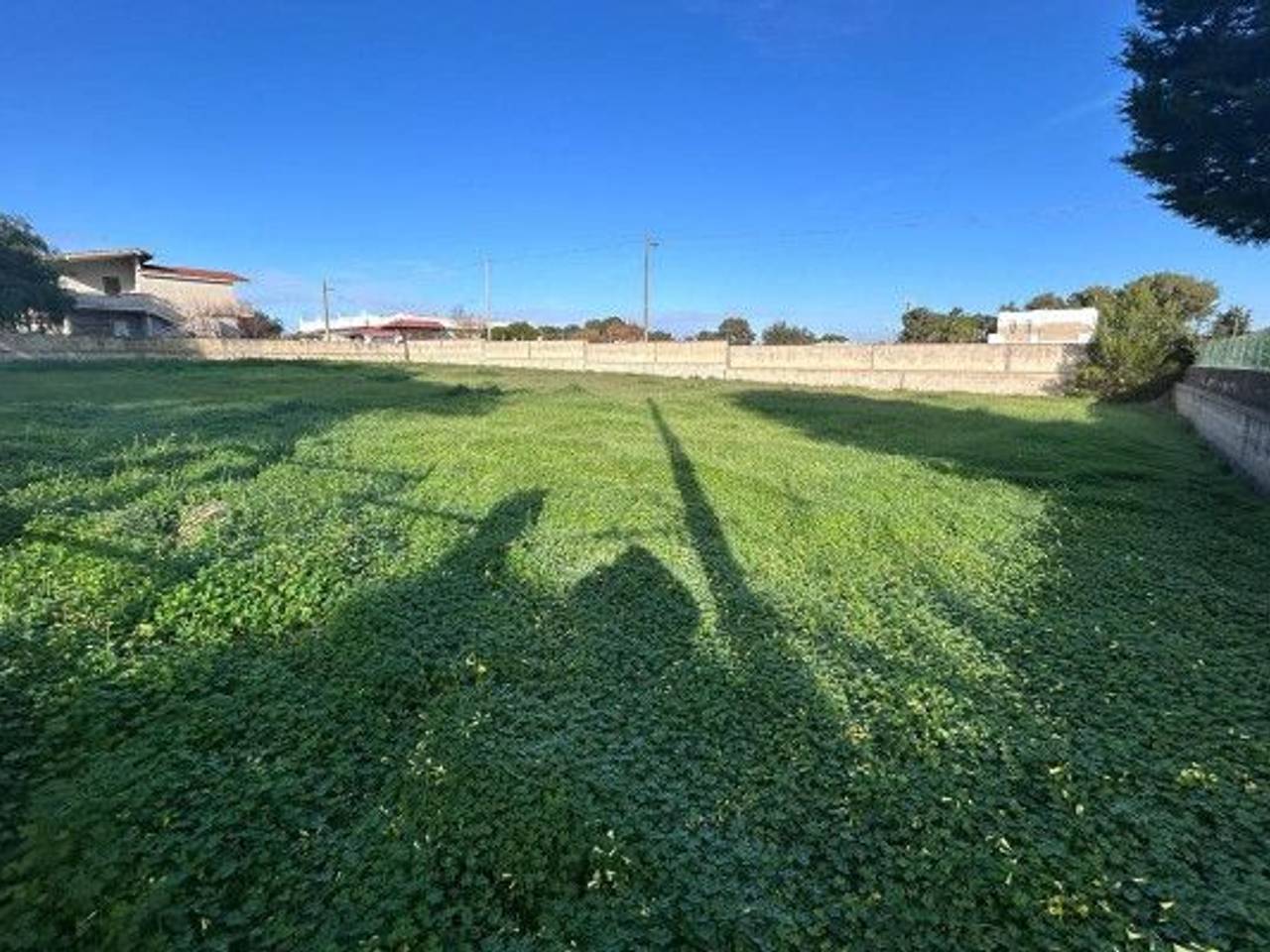 immagine annuncio 1 di 14