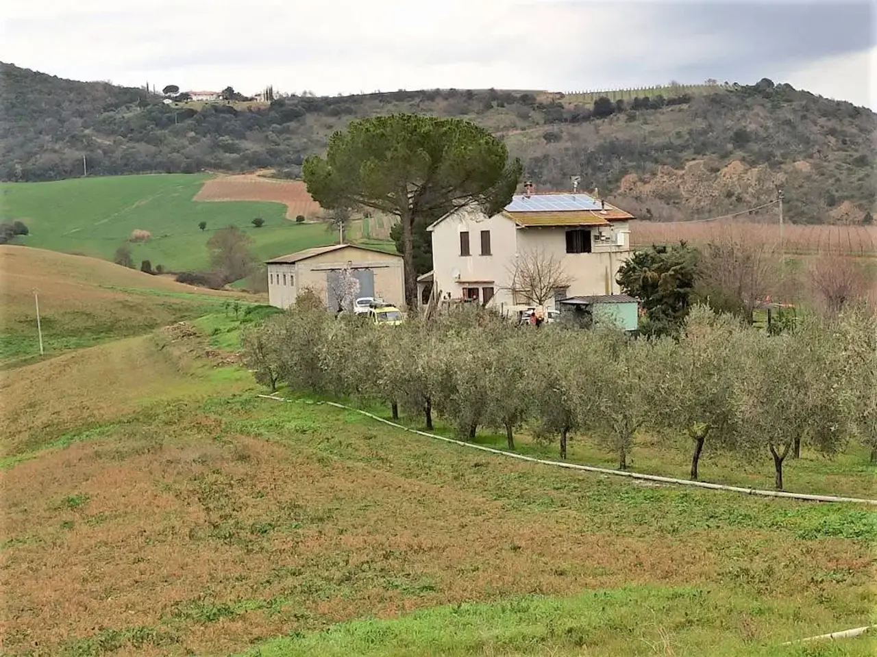 Azienda agricola in Comune di Scansano Localita' Colle Lupo Zona Ghiaccio Forte, Scansano, Grosseto, Scansano, {3} - Foto 2