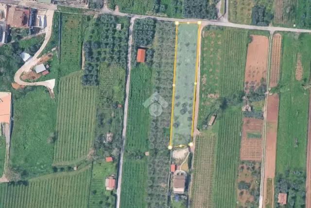 insertion image