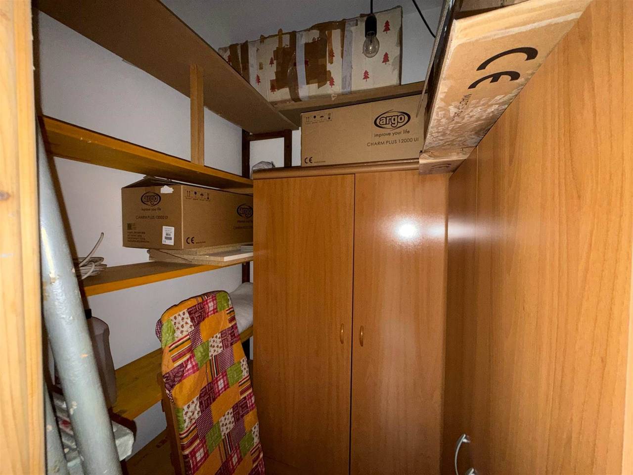 immagine annuncio 12 di 15