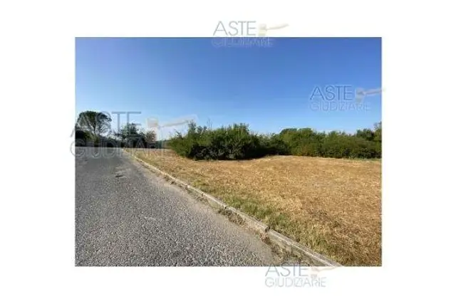 insertion image