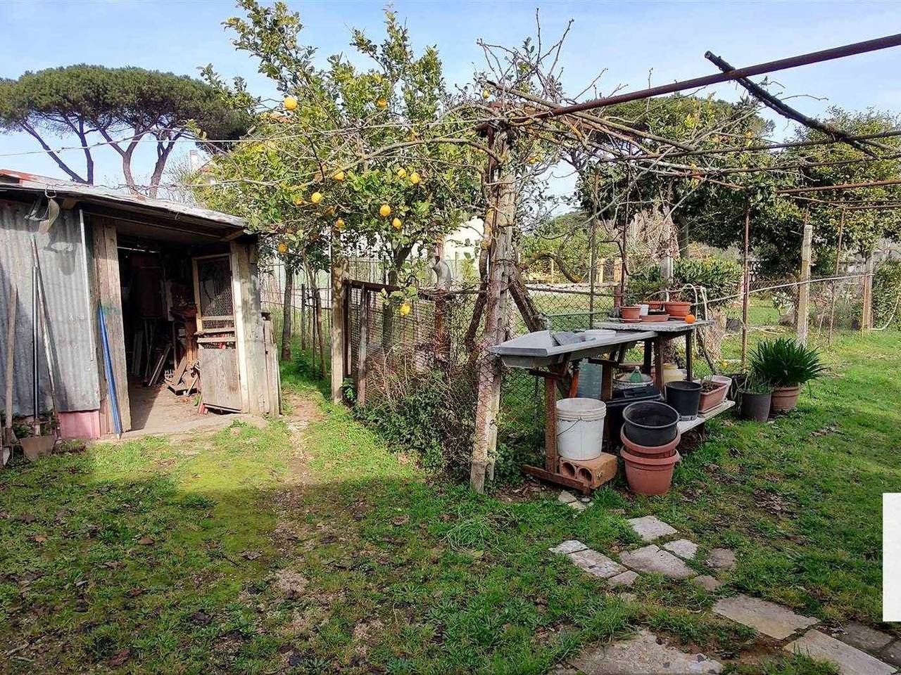 immagine annuncio 2 di 6