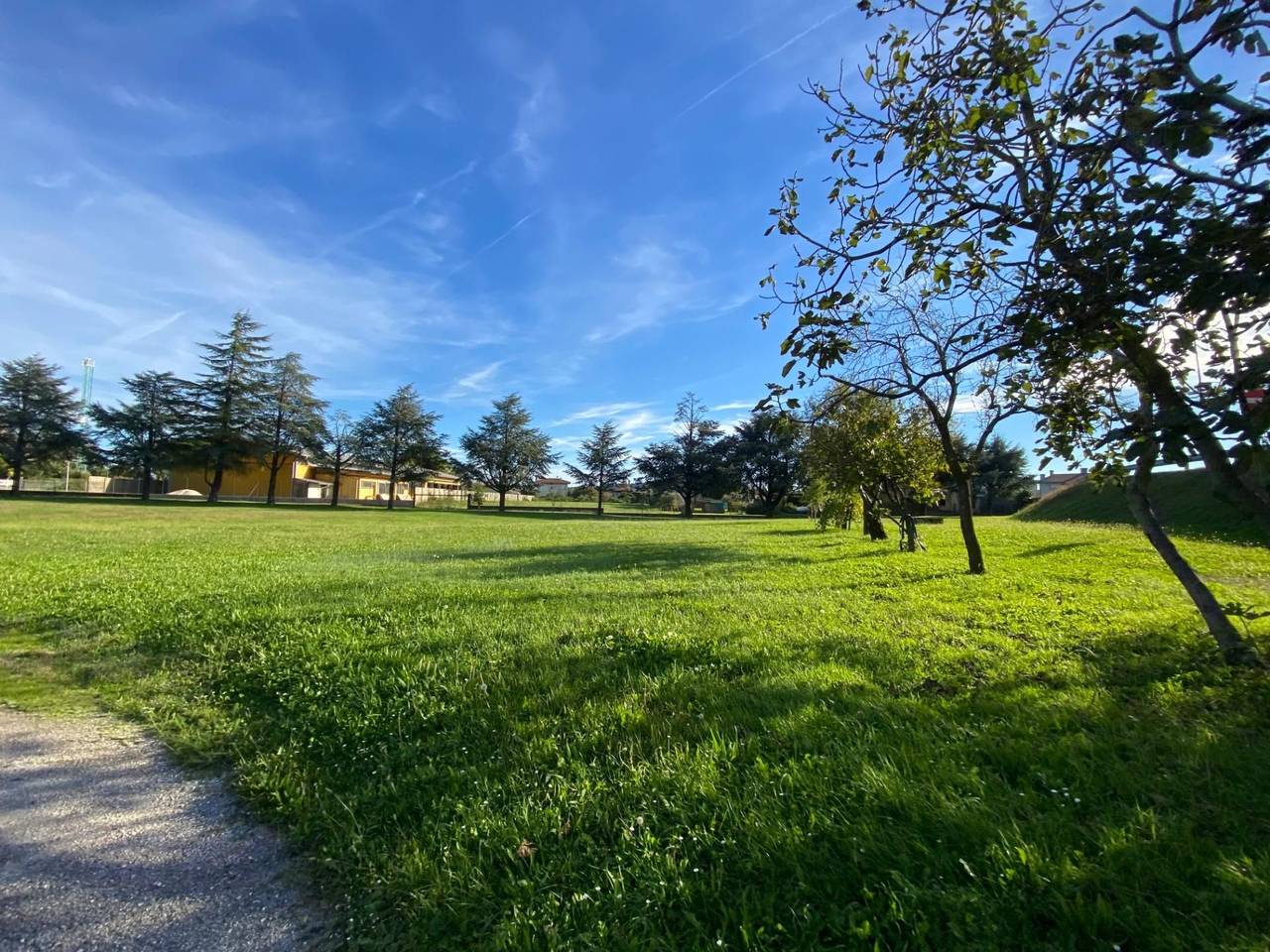 immagine annuncio 5 di 8